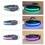collier lumineux LED pour chien – rechargeable USB & solaire